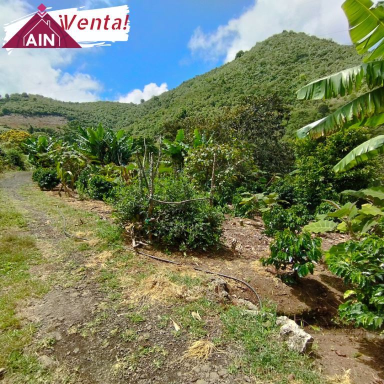 Lote obonuco, agencia inmobiliaria de Nariño